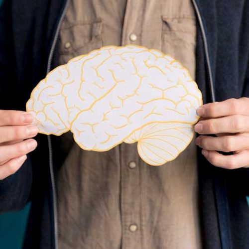 La Neurociencia en la Sala de Juicios: Implicaciones para la Defensa Legal 